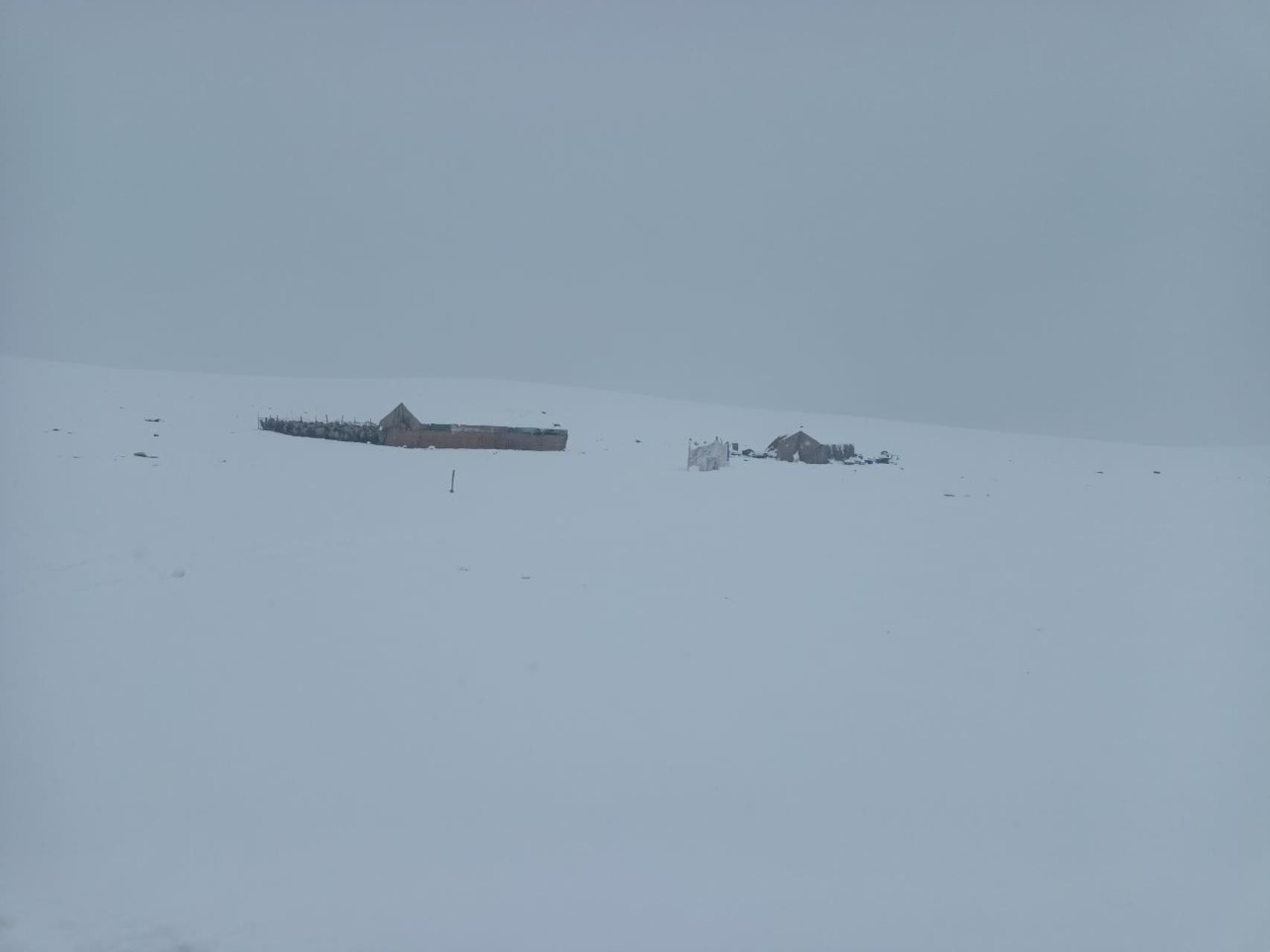  بارش برف عشایر کلیبر را با مشکل مواجه کرد