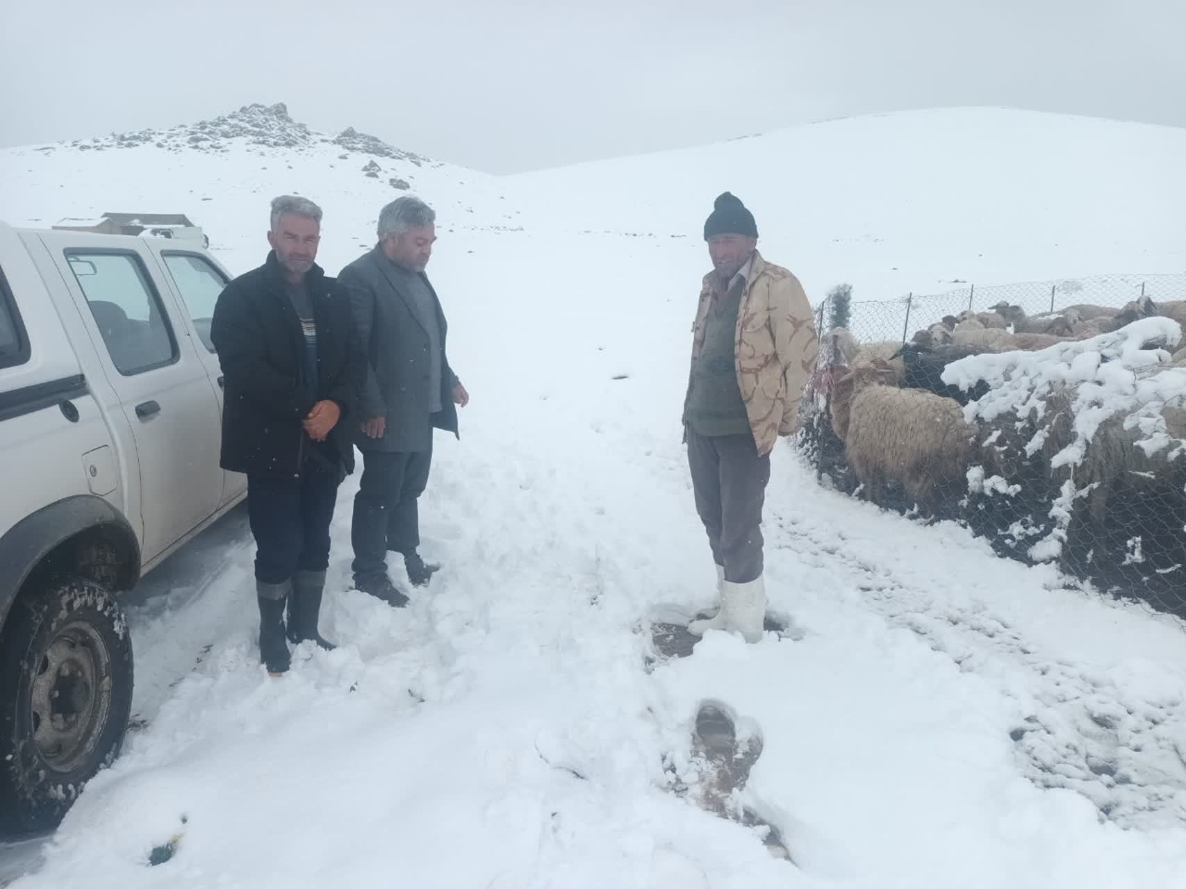 بارش برف در ماه دوم فصل بهار، عشایر در حال کوچ استان راغافلگیر کرد.
