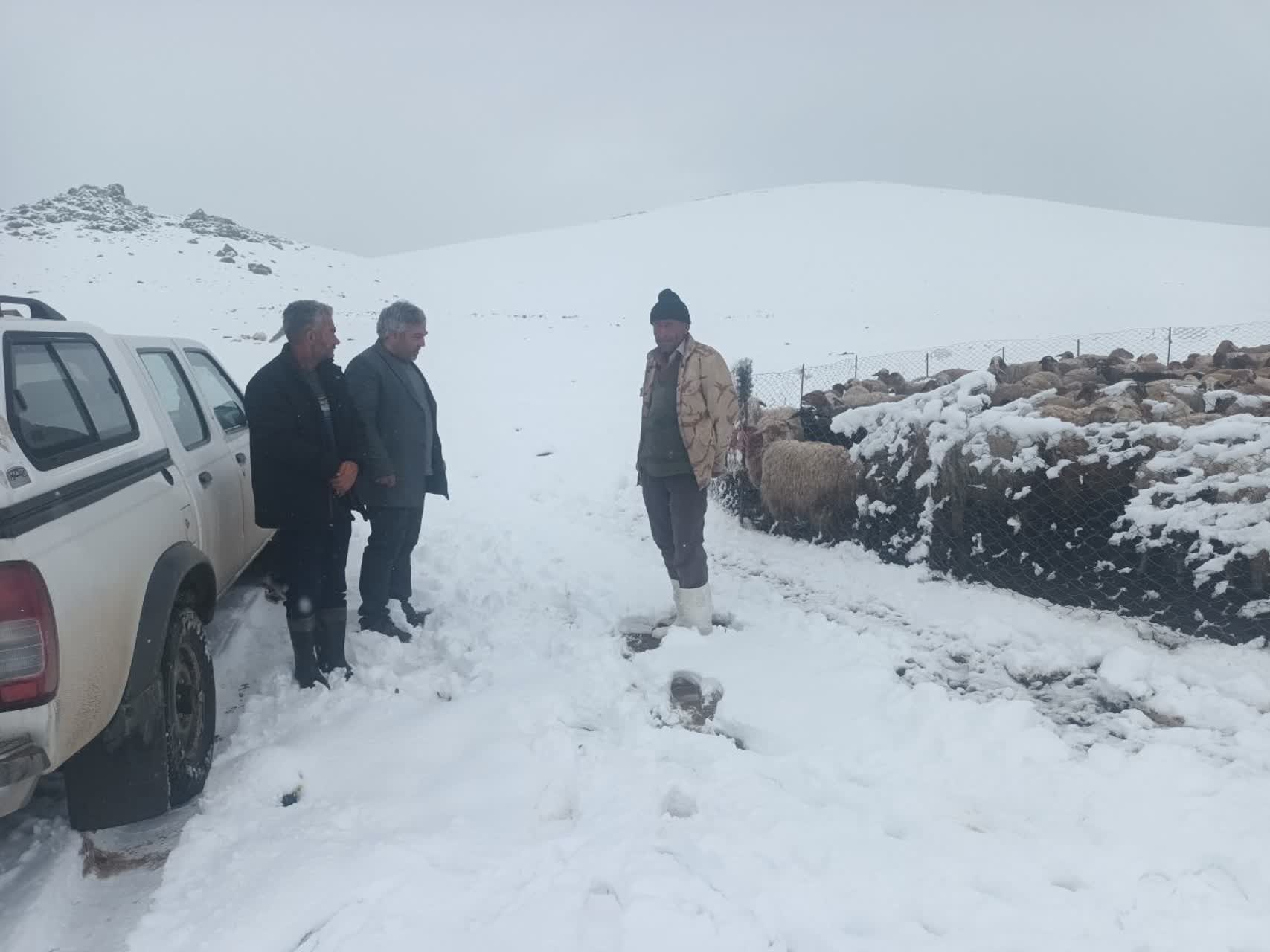 بارش برف در ماه دوم فصل بهار، عشایر در حال کوچ استان راغافلگیر کرد.