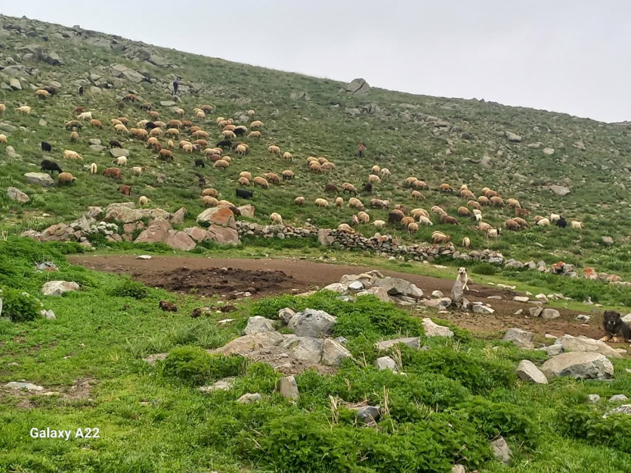 آغاز عملیات مرمت و بازگشایی راه های ییلاقی