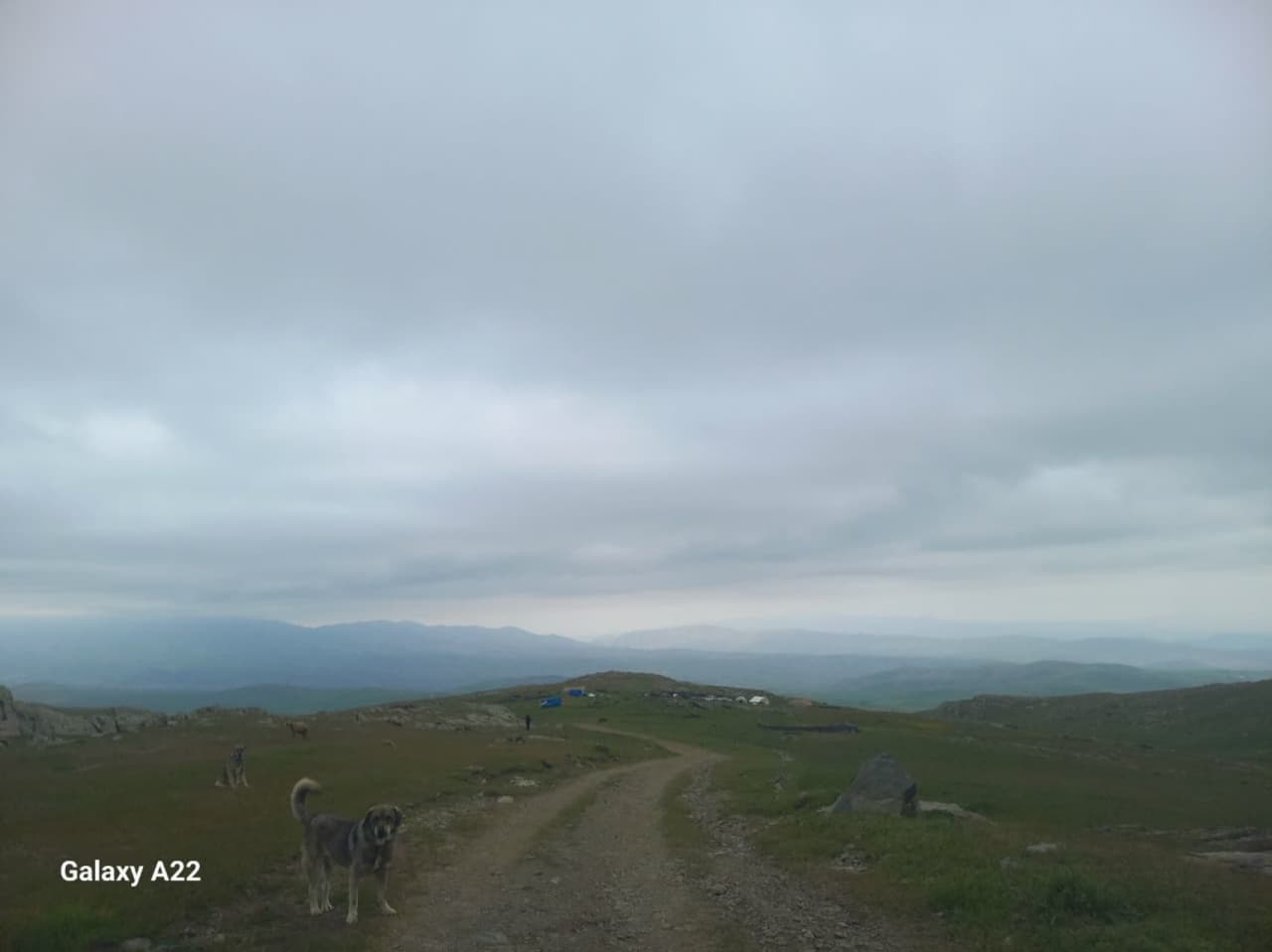 آغاز عملیات مرمت و بازگشایی راه های ییلاقی