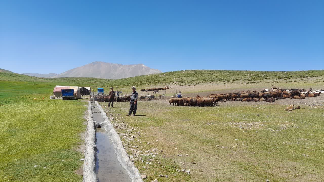 کوچ سالانه عشایر به ییلاقات سهند آغاز شد