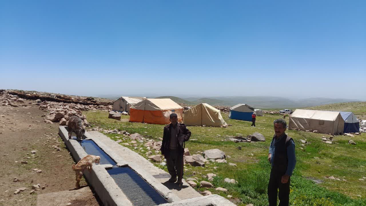 کوچ سالانه عشایر به ییلاقات سهند آغاز شد