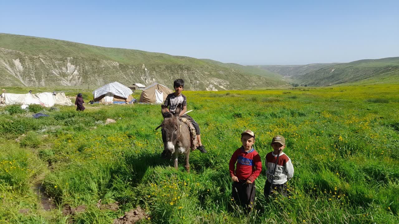کوچ سالانه عشایر به ییلاقات سهند آغاز شد