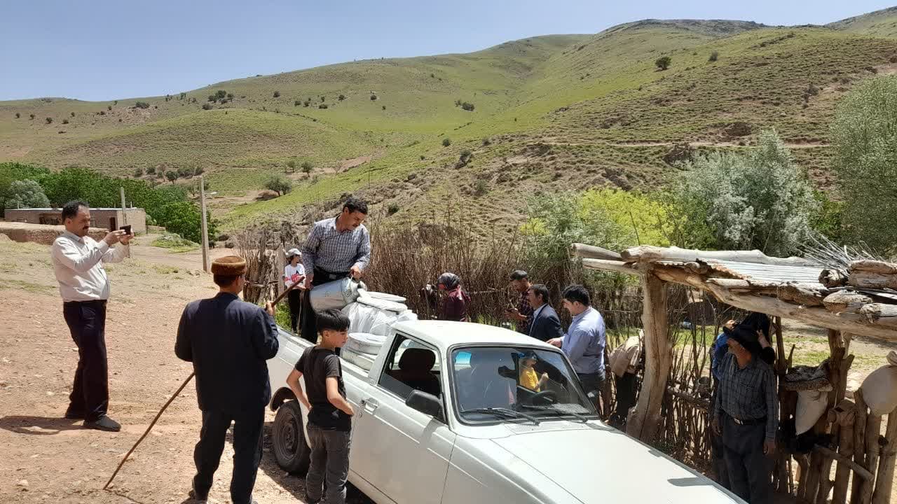 انتخاب دامدار نمونه عشایری در مراغه