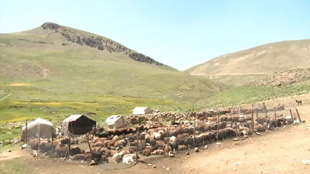 عشایر سهند بر ایستادگی قاطعانه در برابر متجاوزگران تاکید کردند